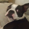 Barbara P.'s profile image