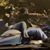 Paula Powell Gann's profile image