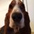 Andrea Nossa's profile image