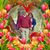 Cathy Frierson's profile image