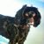 Jami Williams's profile image