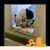 Cindy B Smith's profile image