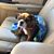 Karin Holcomb Jackson's profile image