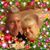 Valerie Vealey's profile image