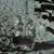 Jessey Roberts's profile image