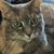Mariah Millard's profile image