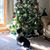 Mary Lynn Lois's profile image
