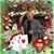 Theresa Shaw's profile image