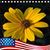 Becky Stubblefield's profile image