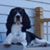 Brad Moen's profile image