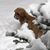 Judy Legon Owens's profile image