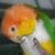 Pam Hill's profile image