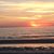 Teri Klockner's profile image