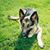 Lisa Carlson's profile image