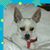 Debbie Tankersley's profile image
