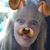 Nancy B Warner's profile image