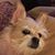 Barbra Jess's profile image