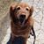 Diane LaLonde's profile image