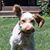 Berdell Koch's profile image