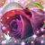 Maria Santana's profile image