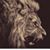 Christopher Lee's profile image