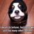 Debra Corso's profile image