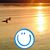 Marian Foehrenbacher's profile image
