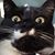 Suzanne Luther's profile image