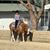 Mikey Inman- Harchol's profile image