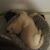 Dena Coulter's profile image