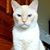 Jackie Tierney's profile image