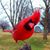 Bill Lynn's profile image
