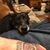 Jim Martek Jr.'s profile image