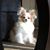 Debbie Skaggs's profile image