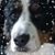 Lisa Cardilli's profile image