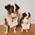 Janine Swartz Sinniger's profile image
