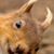 Frank Brown's profile image