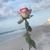 Janet Calcote Simmons's profile image