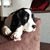 Angelina Lopez Gaare's profile image