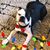 Kimberly Amick Stahl's profile image