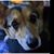 Bev Livermore's profile image