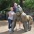 David Faerber's profile image