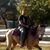 Matt Fidler's profile image