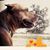 Patti Farris Myers's profile image