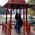 Rebecca Curland's profile image