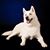 Eric Kibler's profile image