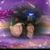 Ladybug Phillips's profile image