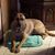 CarolLee Streeter Kidd's profile image