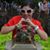 Raquel Pereira's profile image