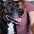 Karen Bolander's profile image